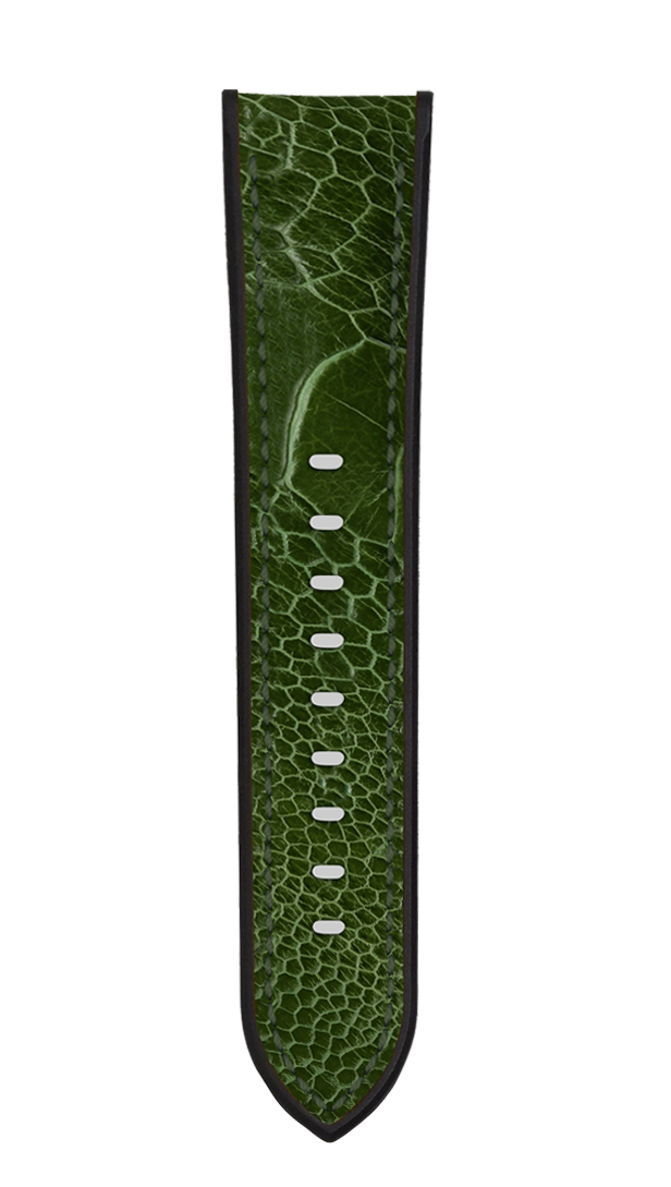 Ostrich Leg Cactus Green for Panerai