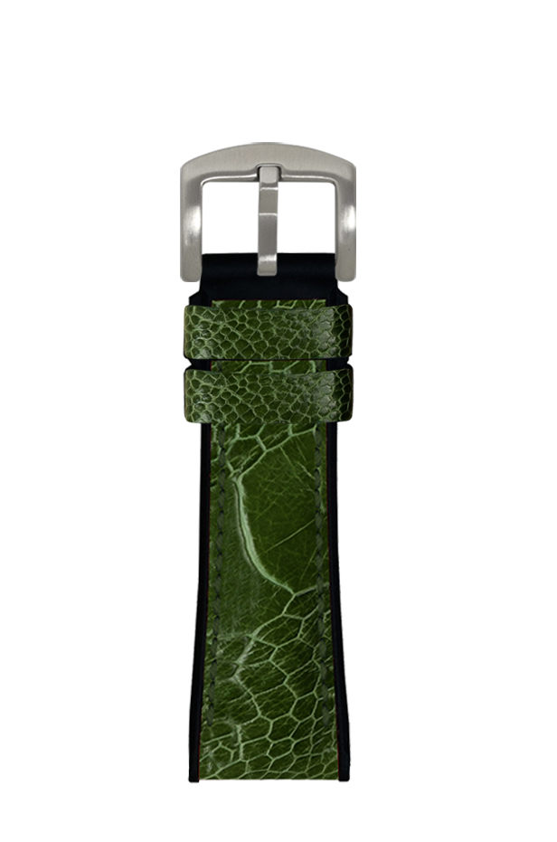 Ostrich Leg Cactus Green