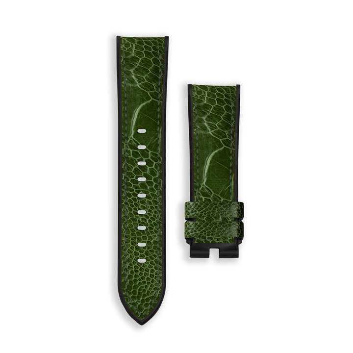 Ostrich Leg Cactus Green for Panerai