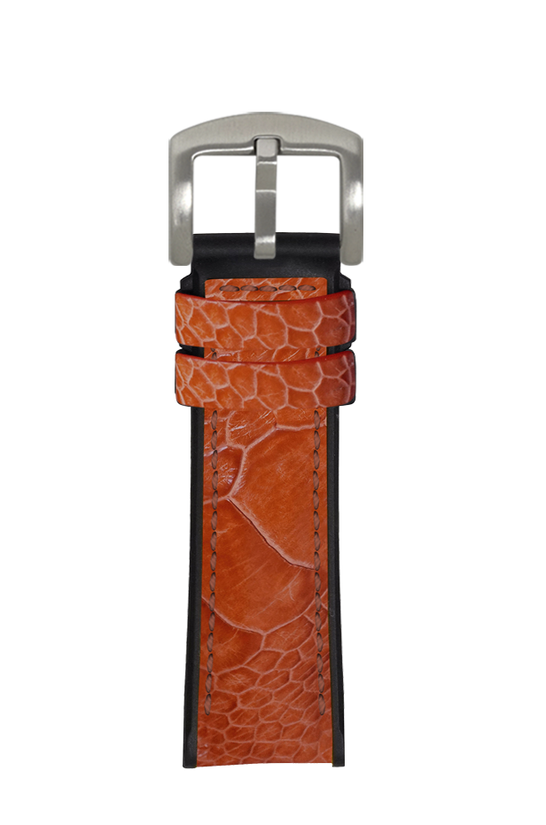Ostrich Leg Cedar for Panerai