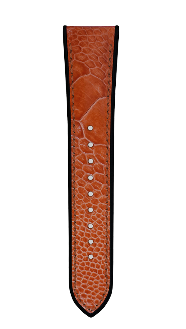 Ostrich Leg Cedar