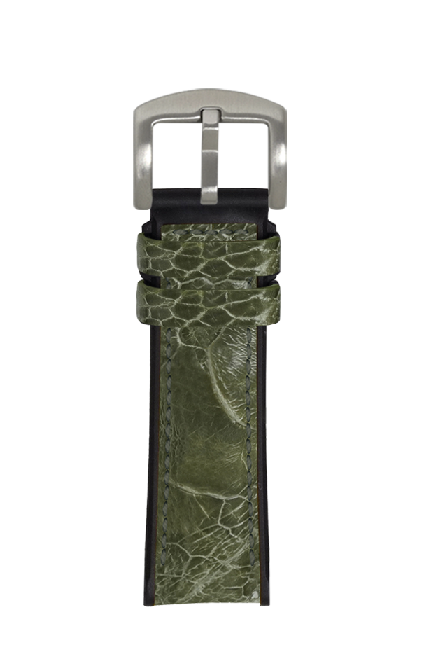 Ostrich Leg Oakmoss for Panerai