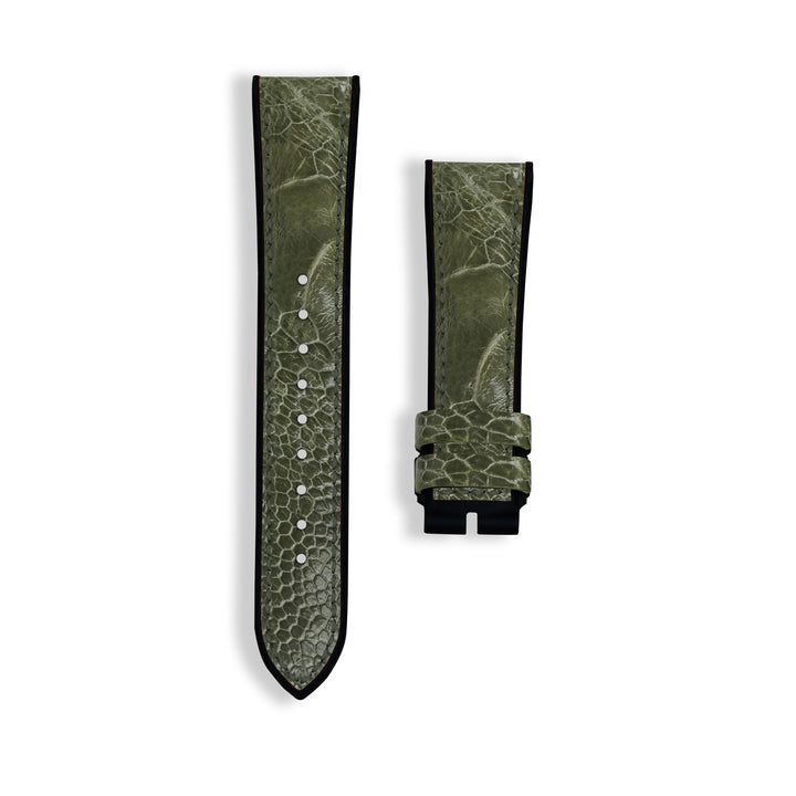 Ostrich Leg Oakmoss