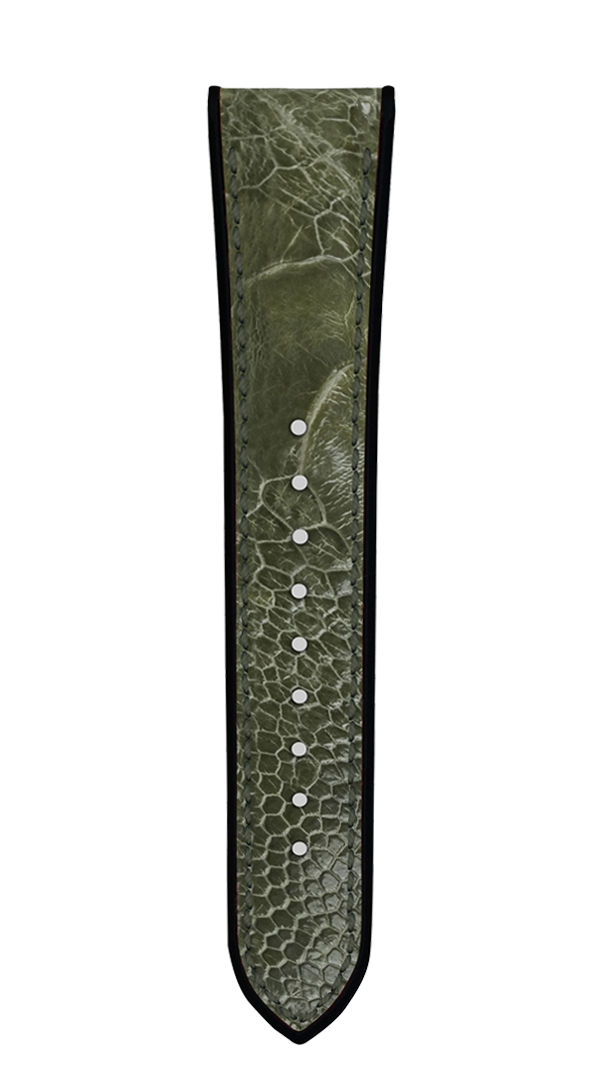 Ostrich Leg Oakmoss