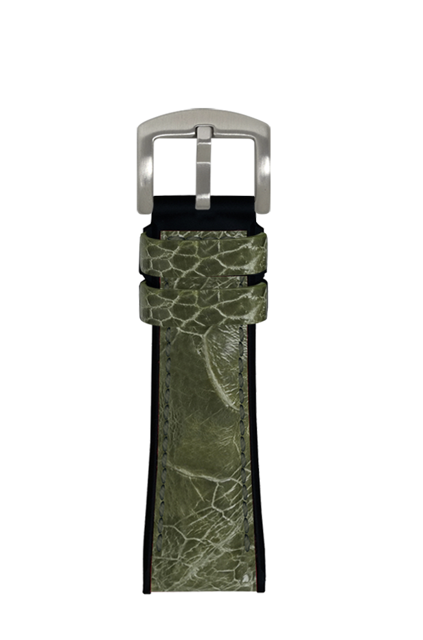 Ostrich Leg Oakmoss